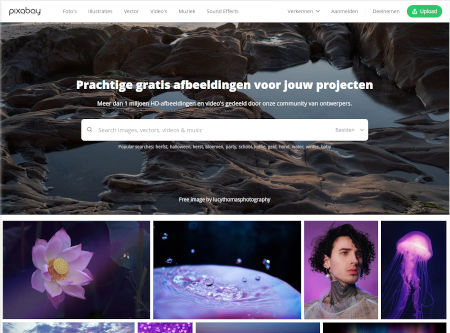 pixabay - gratis stockfotos